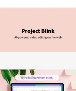 Project Blink