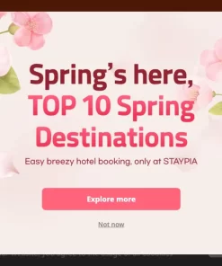 Staypia