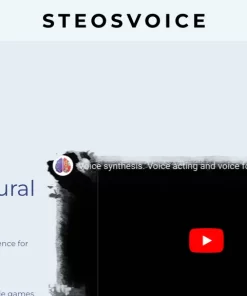SteosVoice